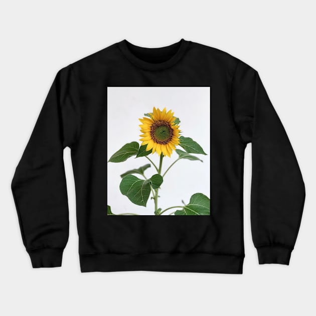 Sunflower Crewneck Sweatshirt by andelta4t